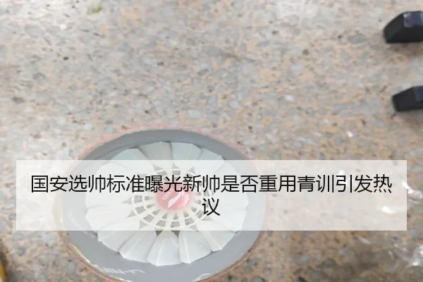 国安选帅标准曝光新帅是否重用青训引发热议